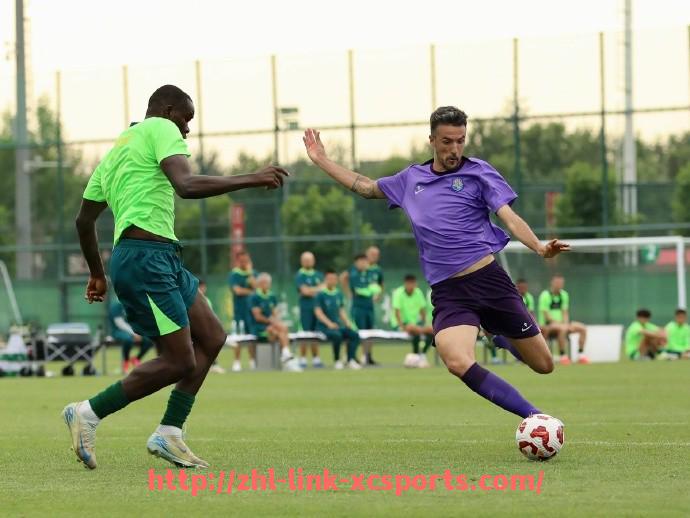 杏彩体育-德甲各支球队主场观众人数排行(含容量)